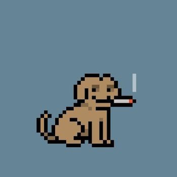 Cryptopupz