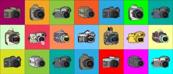 CryptoCameras