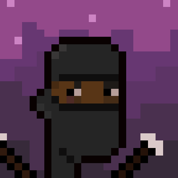 Ninja Punks