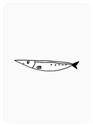 Amiable Anchovy